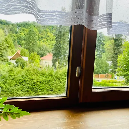 Maison d'hôtes U Kuzelku *